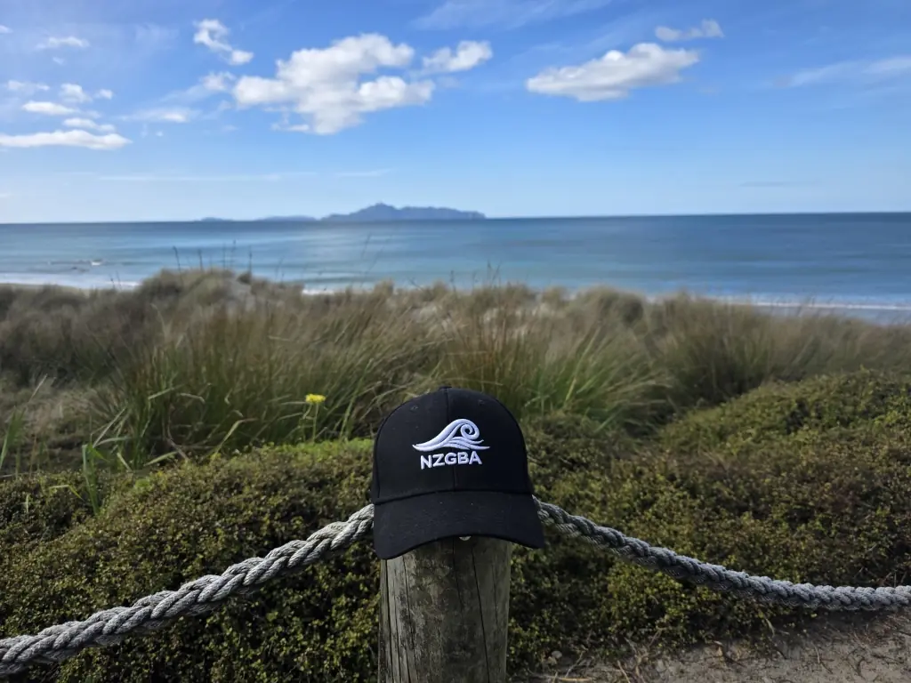 NZGBA cap overlooking the coast